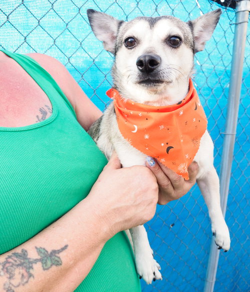 Photo 2 of Pimento