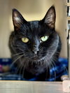 Jack (prev.Sid) - Photo 1