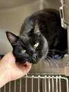 Jack (prev.Sid) - Photo 2