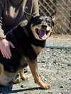 Banjo - Photo 7