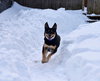 Banjo - Photo 10