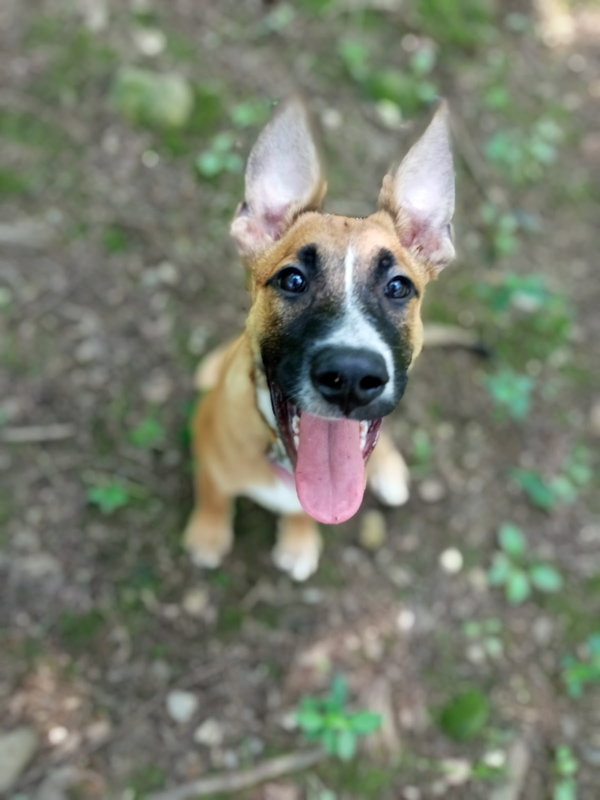 Marley