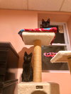 Twilight - Photo 3