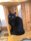 Eve - Photo 5