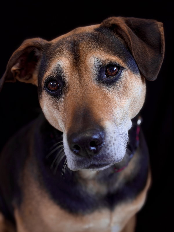 Mya