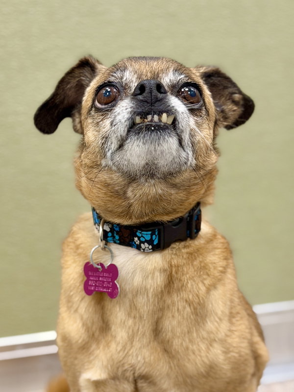 Lulu