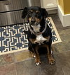 Lady - Photo 4