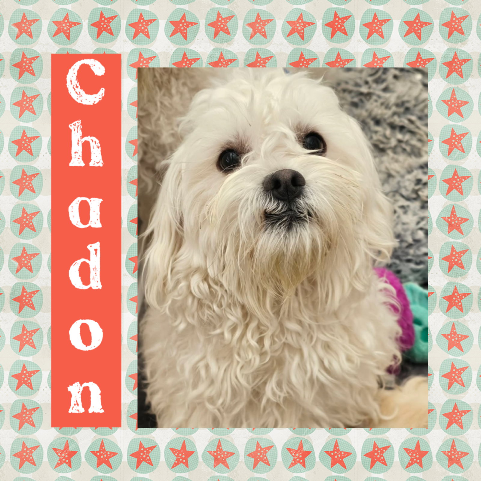 Chadon