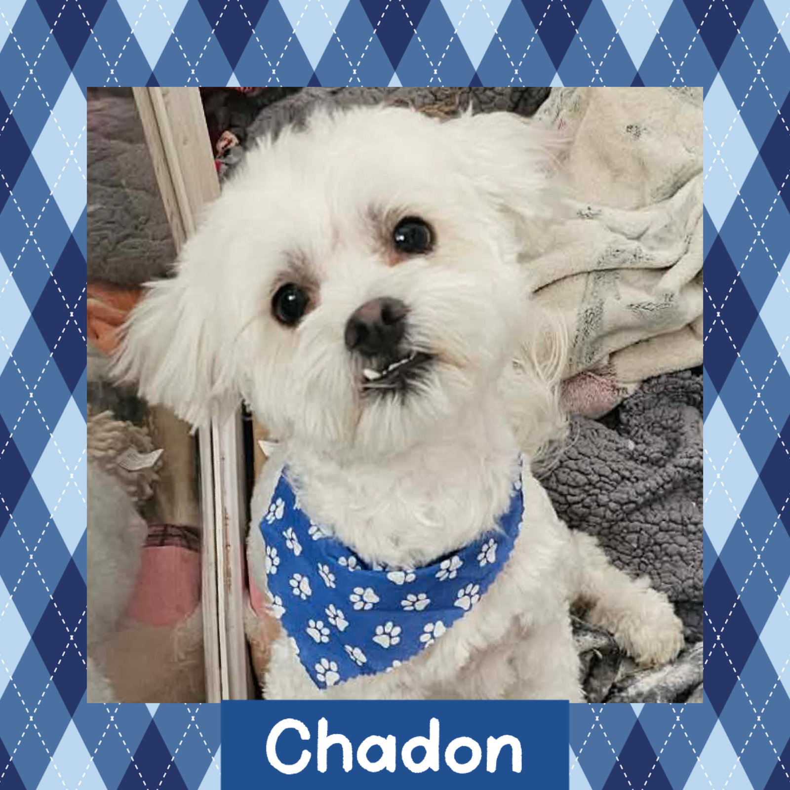 Chadon