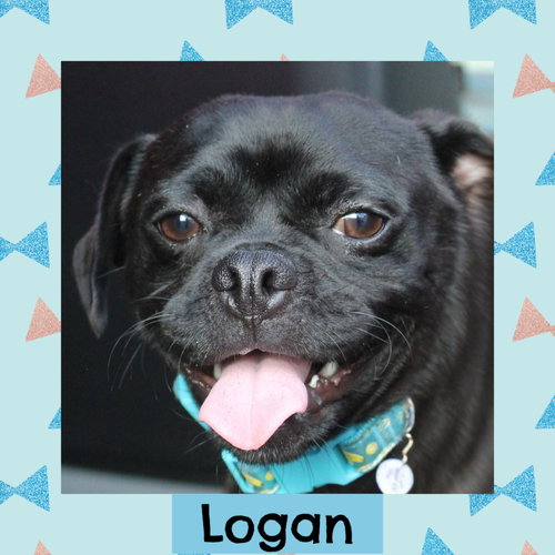 Logan