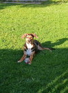 Agatha - Photo 1