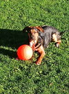 Agatha - Photo 9