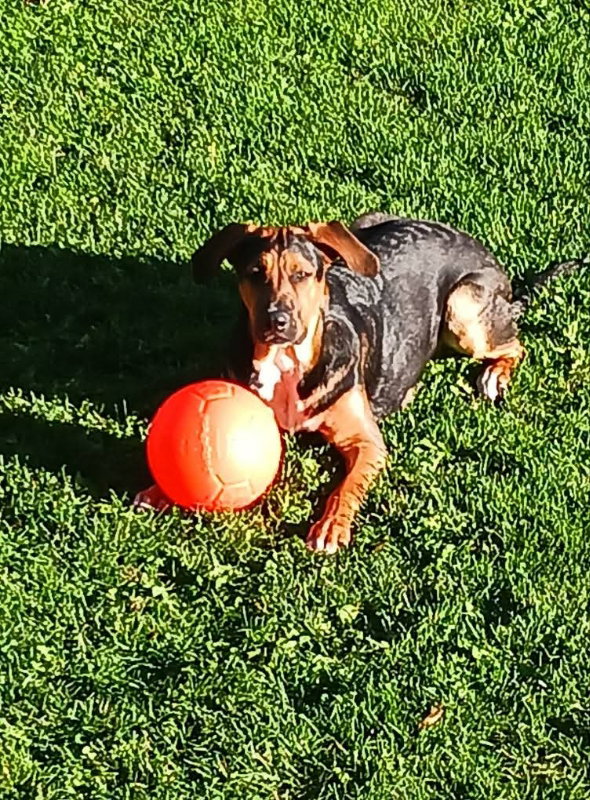Agatha