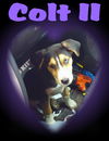 Colt II