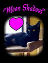 Moon Shadow