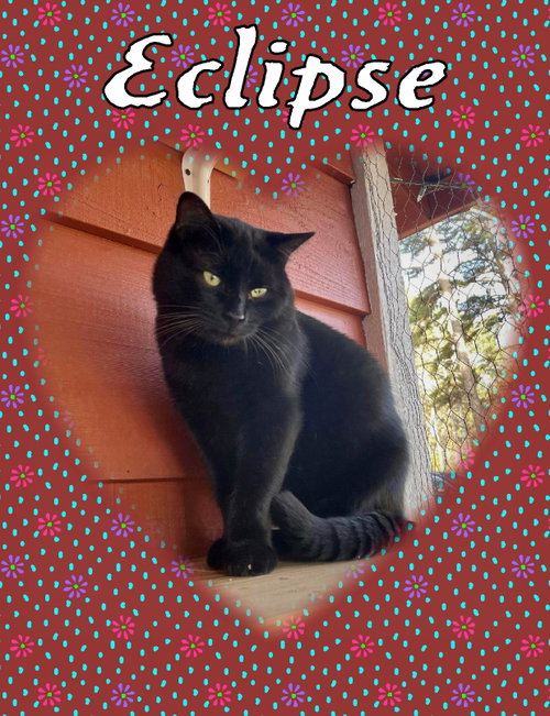 Eclipse