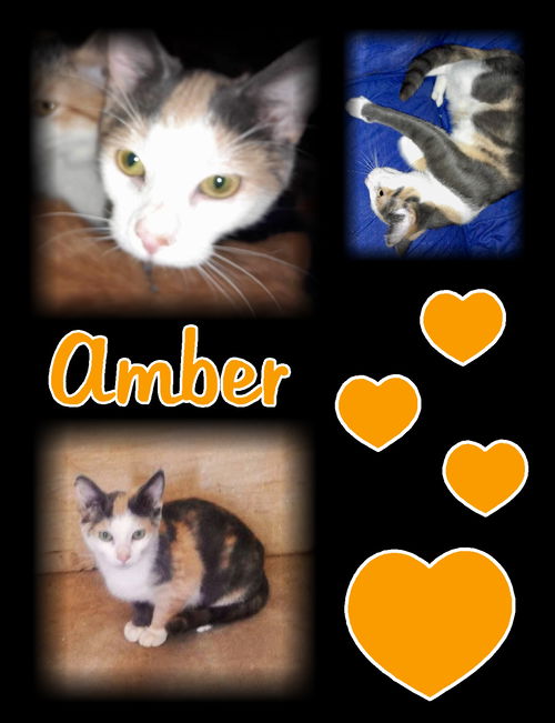 Amber