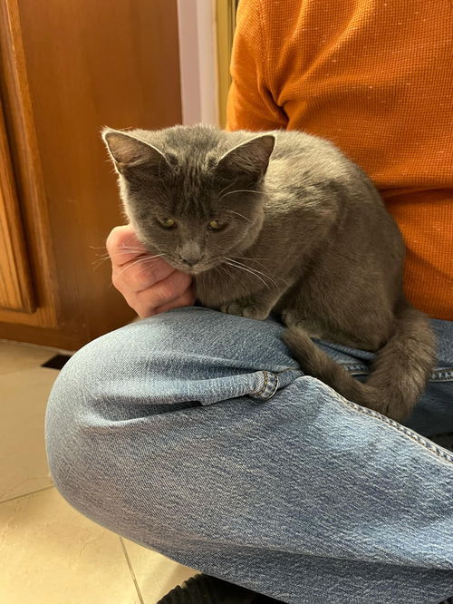 Daphne (AKA Joy)