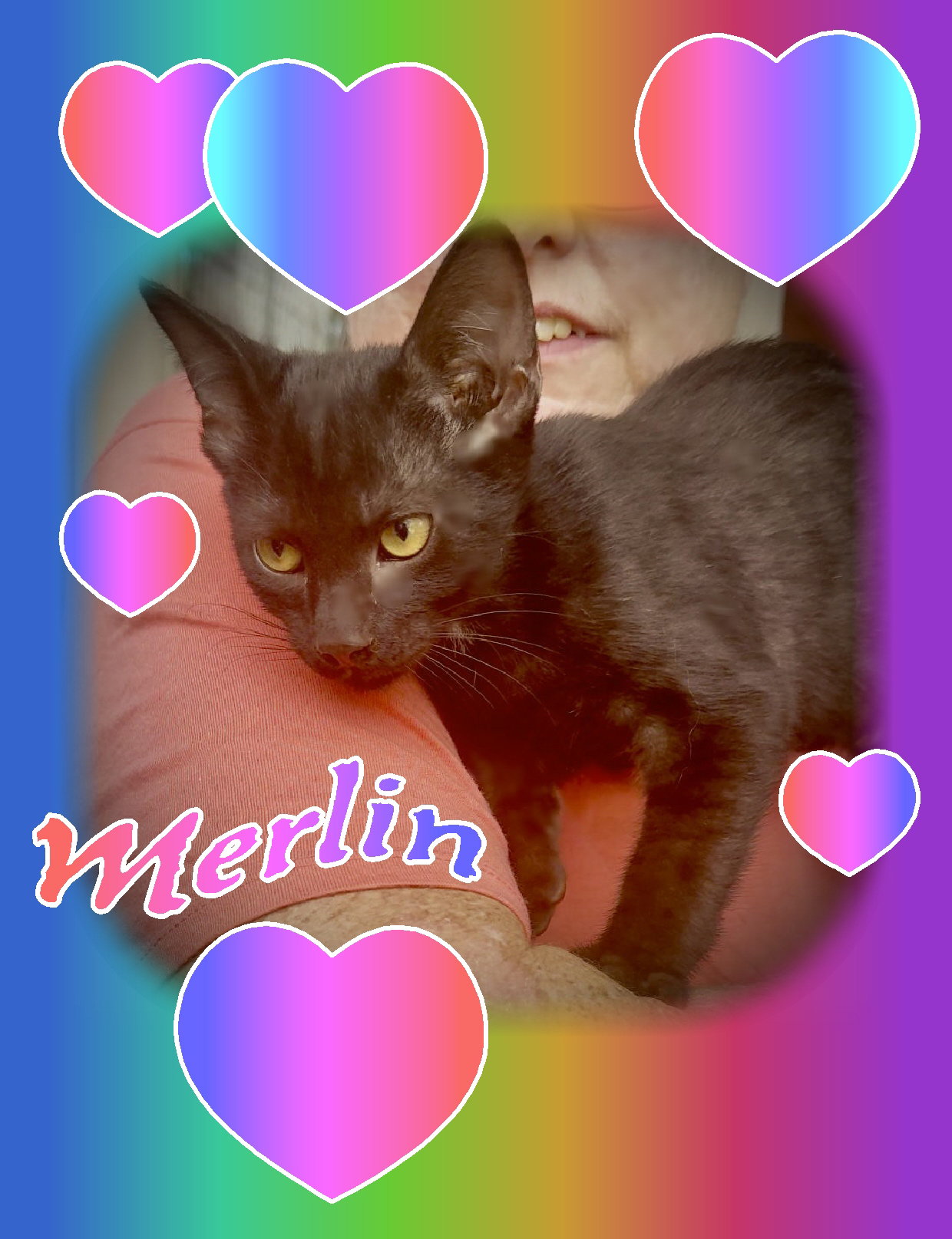 Merlin Image