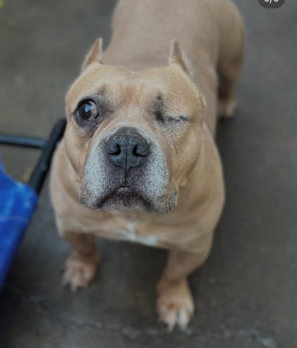 Rita