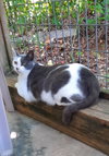 Shirley - Photo 2