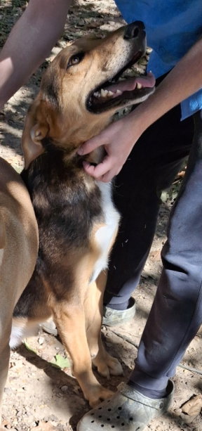 Lefty, photo 3