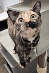 Karma - Photo 3