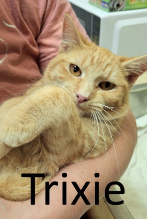 Trixie