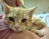 Peaches - Photo 4