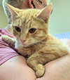 Peaches - Photo 2