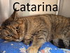 Catarina - Photo 3