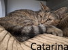 Catarina - Photo 1