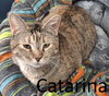 Catarina - Photo 1