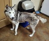 Sasha - Photo 4