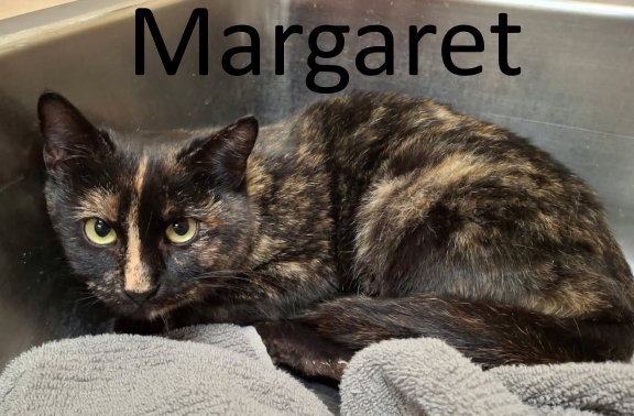 Margaret