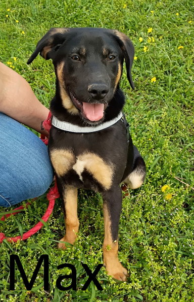 Max