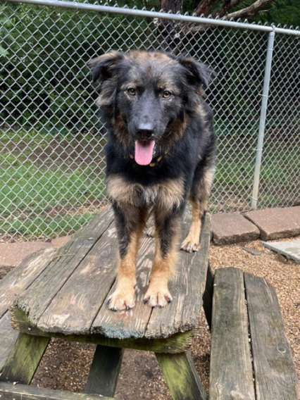 Nash