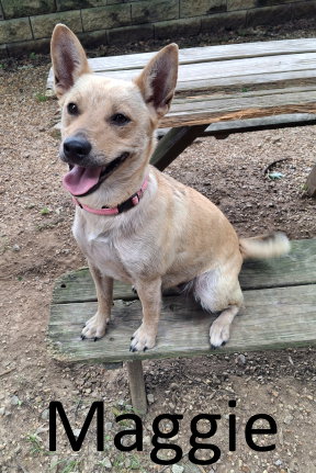 Maggie