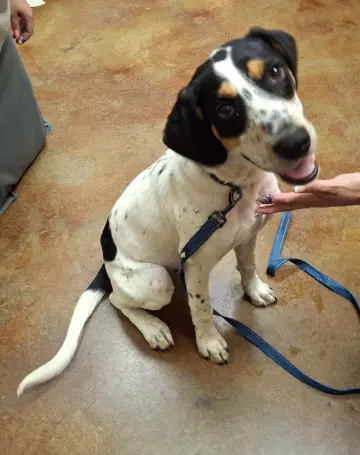 Tucker image 3
