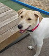 Lovely Lucy - Photo 2