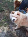 MAX - Photo 3
