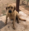 JEFF - Photo 1