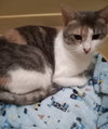 ELSIE - Photo 3