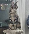 STORMY - Photo 3