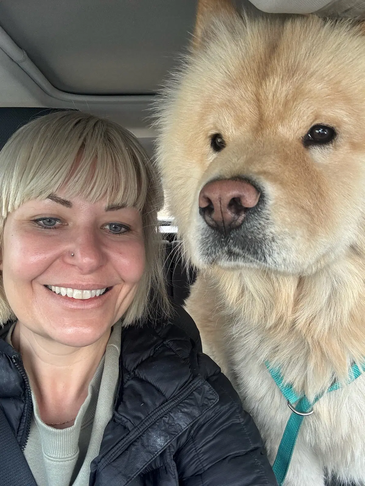 Macie image 4