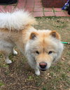 MACIE - Photo 3
