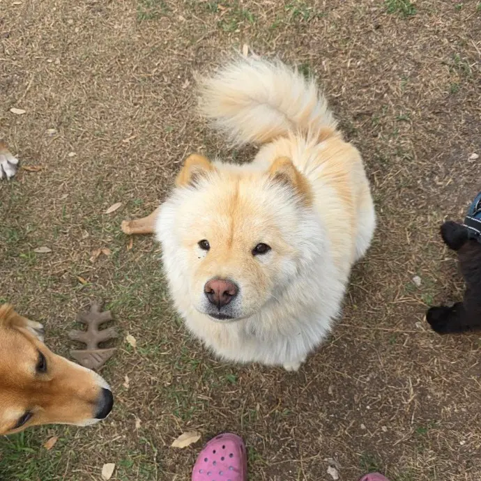 Macie image 2