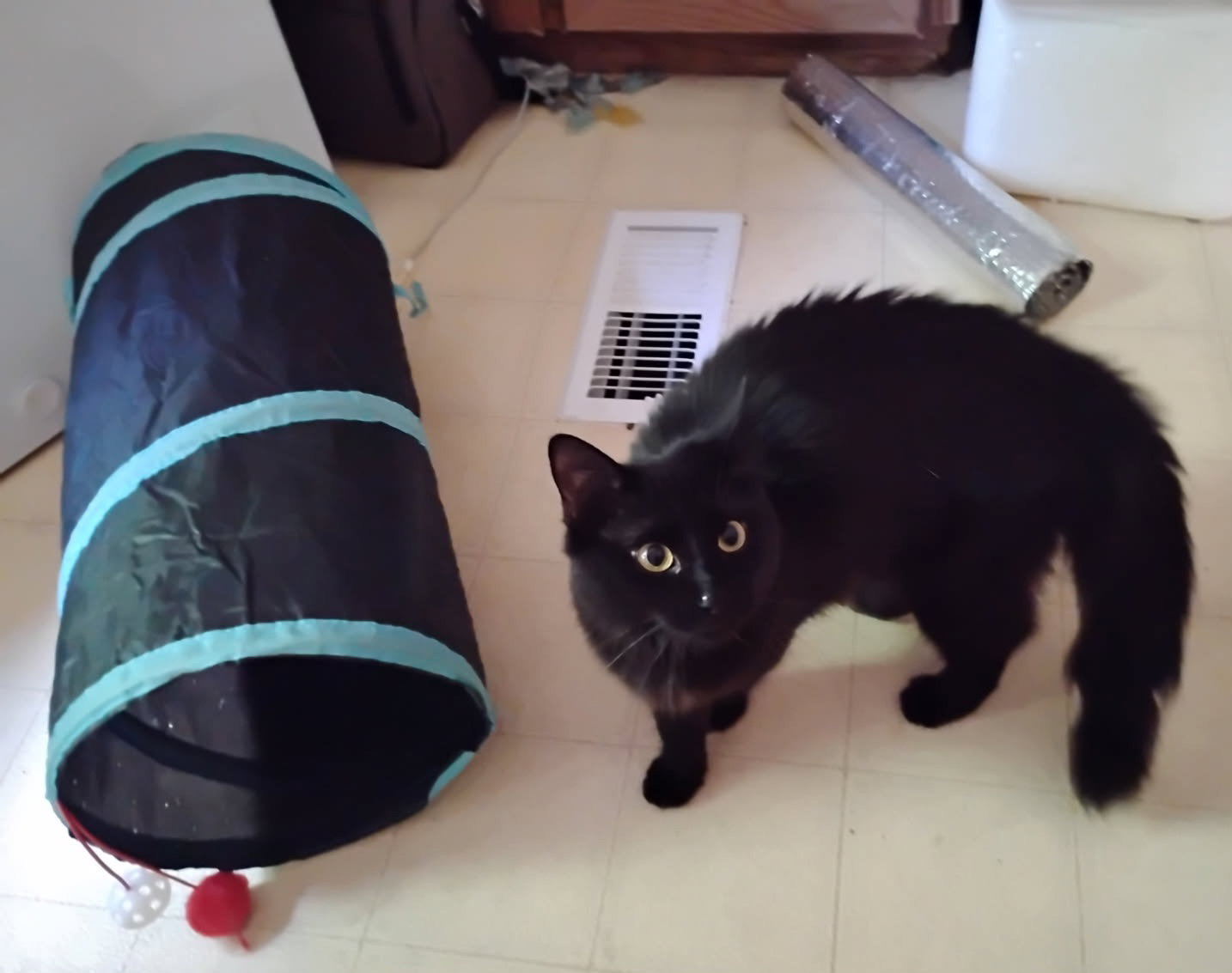 ONYX