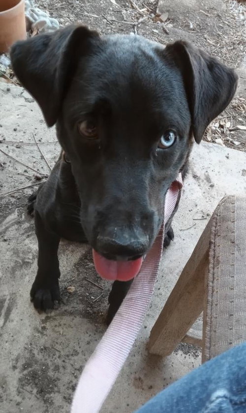 NERO photo 3