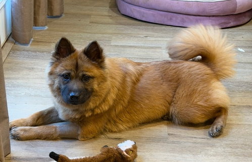 Photo 2 of RUBY